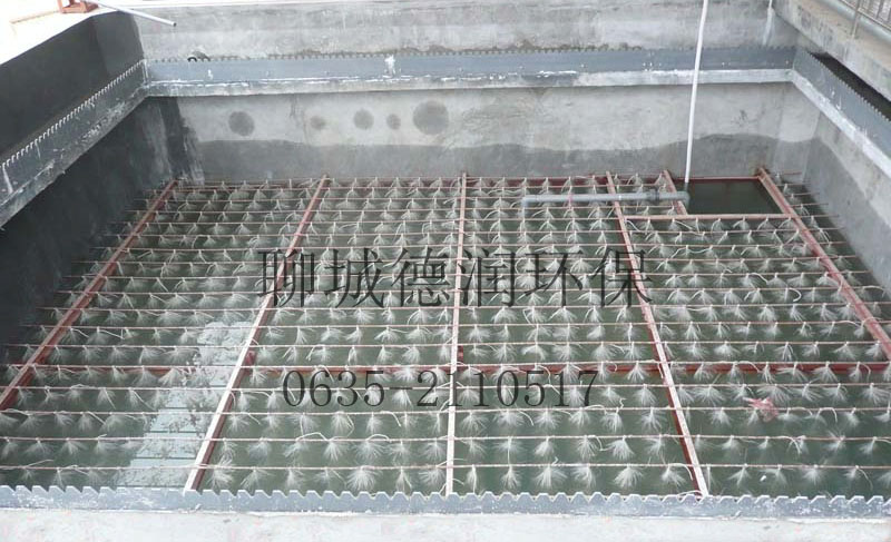 冠縣前進(jìn)集團(tuán)污水處理工程竣工，調(diào)試運(yùn)行效果顯著